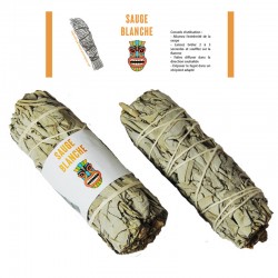 Fagot Sauge Blanche